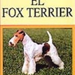 el fox terriier